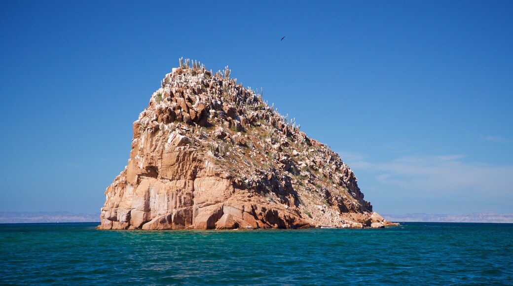 Isla Espiritu Santo showing island images and general coastal views