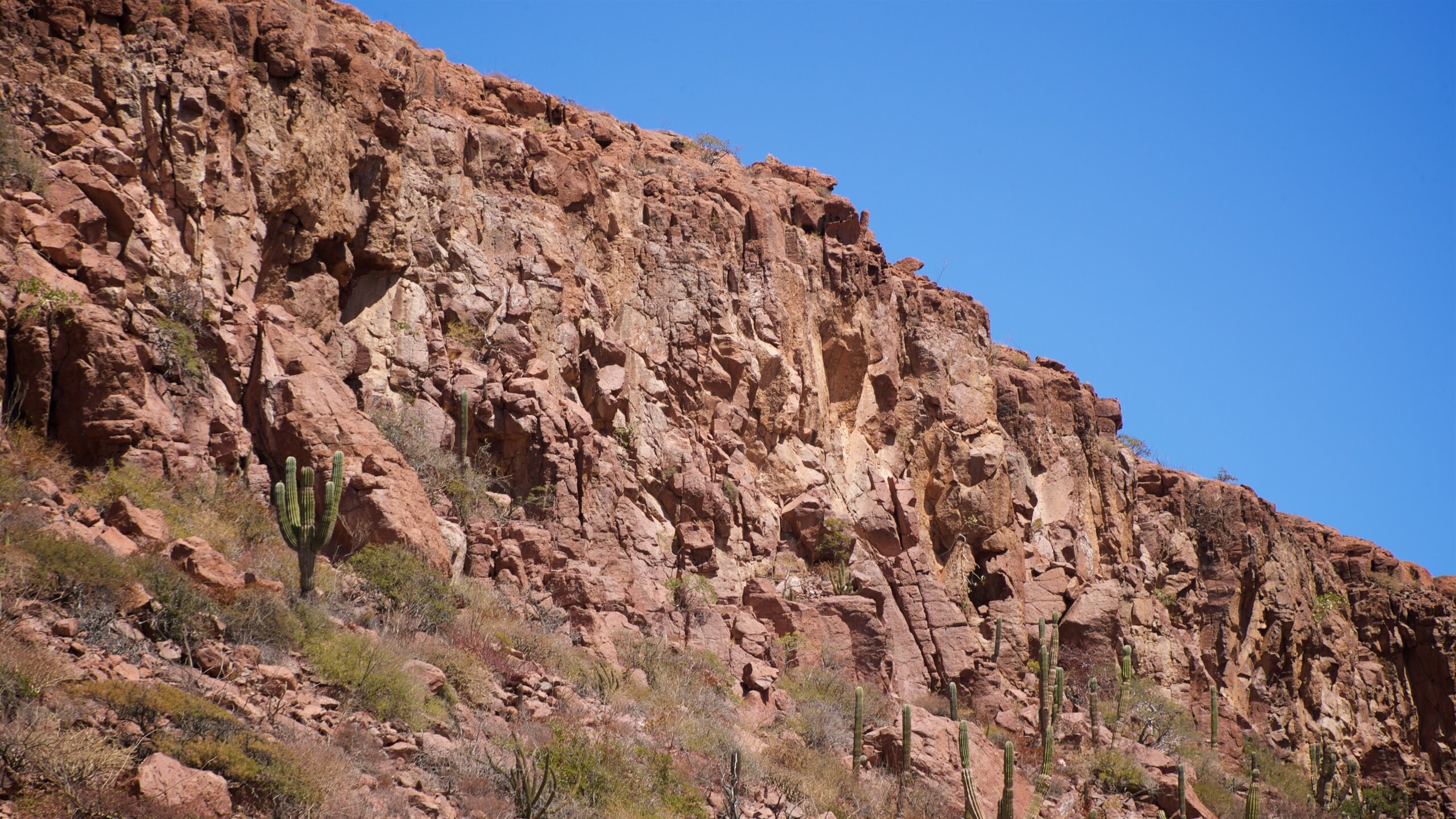 Baja California Sur, MX Vacation Rentals house rentals & more Vrbo