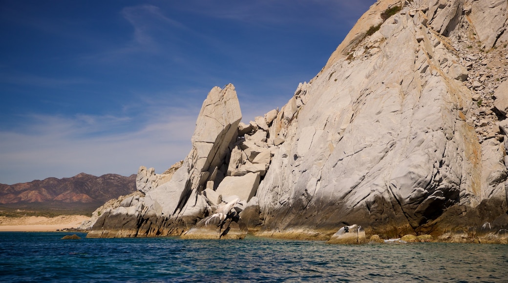 Konservasi Laut Cabo Pulmo