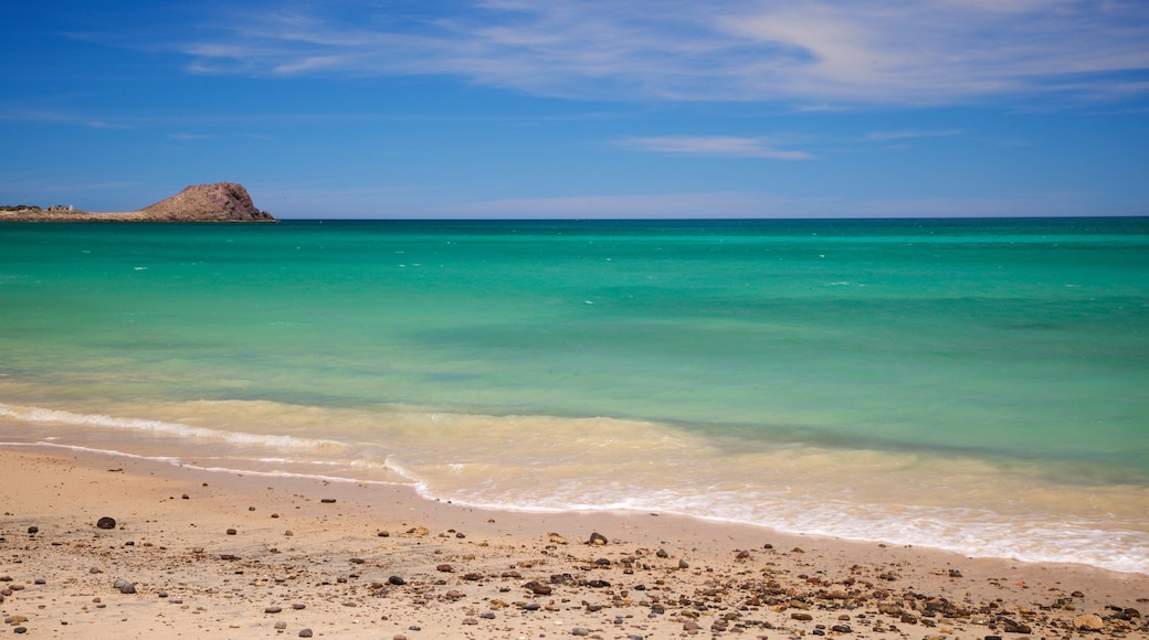 Cabo Pulmo