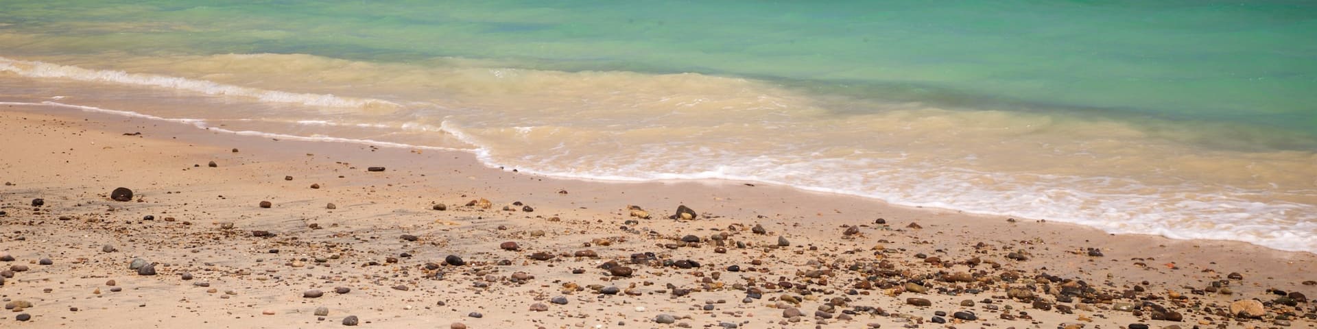 Cabo Pulmo showing general coastal views and a beach
