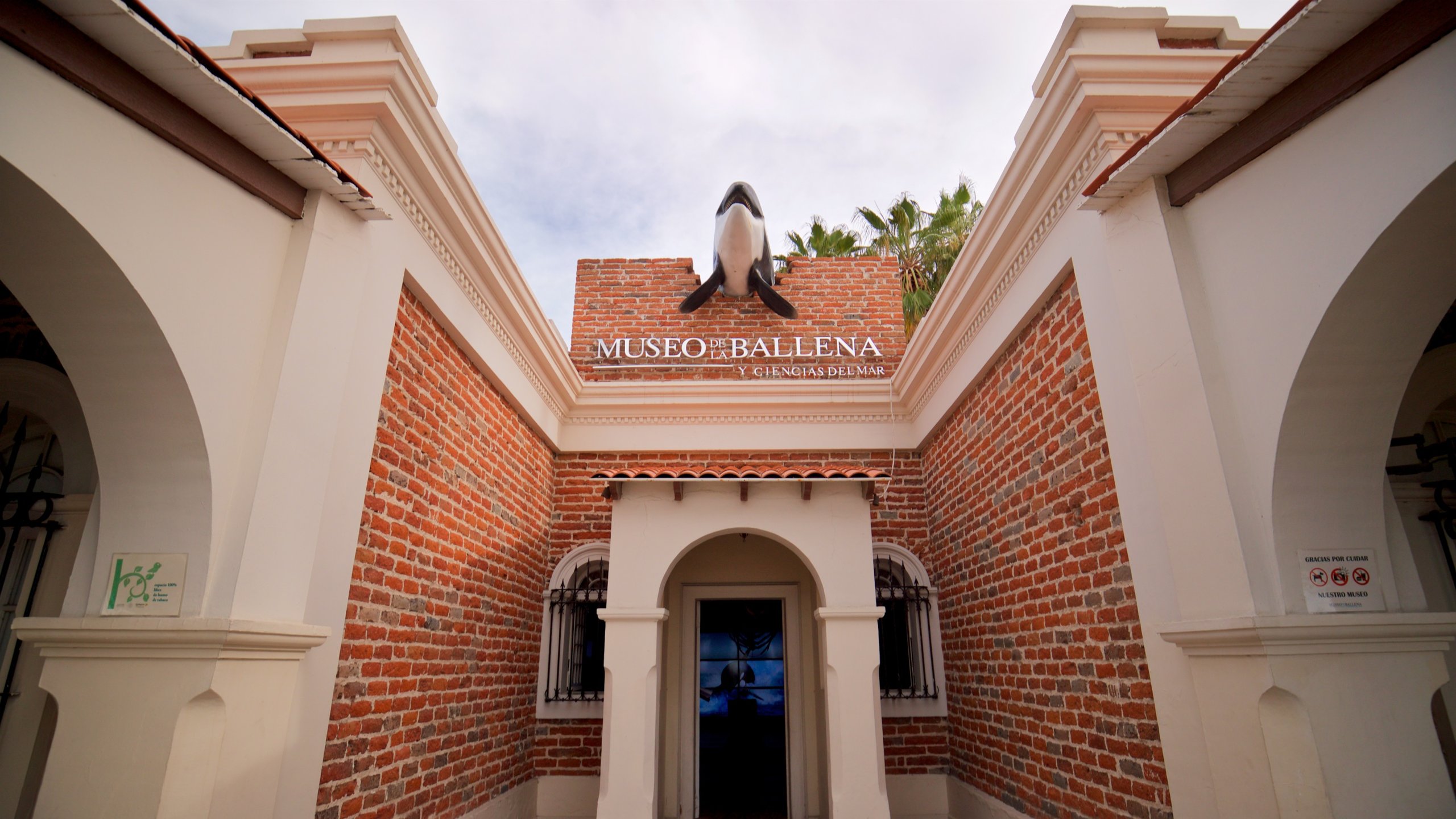 Musée de la Baleine, La Paz, Basse-Californie du Sud, Mexique