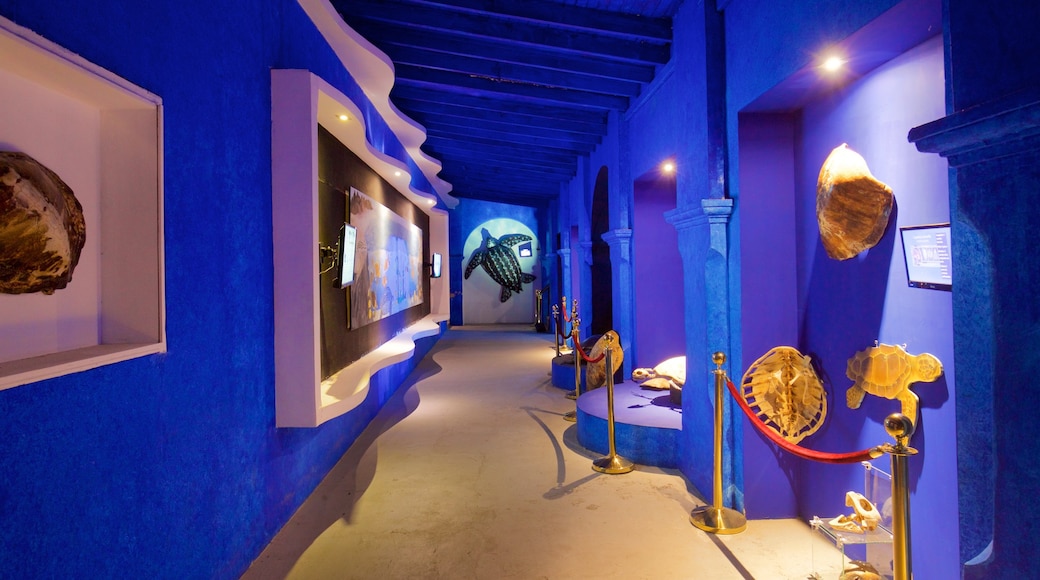 Whale Museum featuring interior views