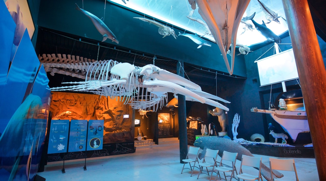 Muzium Ikan Paus