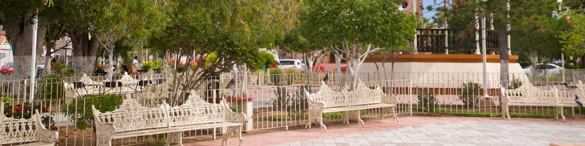 Constitution Square showing a park