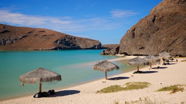 Balandra Beach featuring general coastal views, a beach and tropical scenes