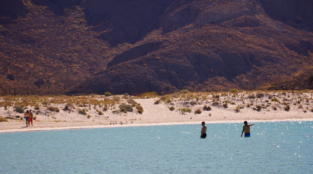 Balandra Beach showing swimming, a sandy beach and general coastal views