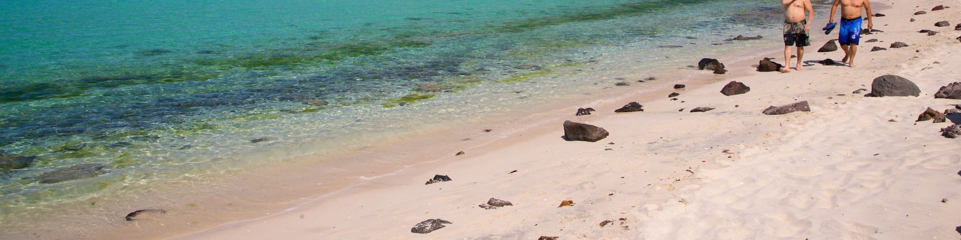 Balandra Beach which includes general coastal views and a sandy beach as well as a couple