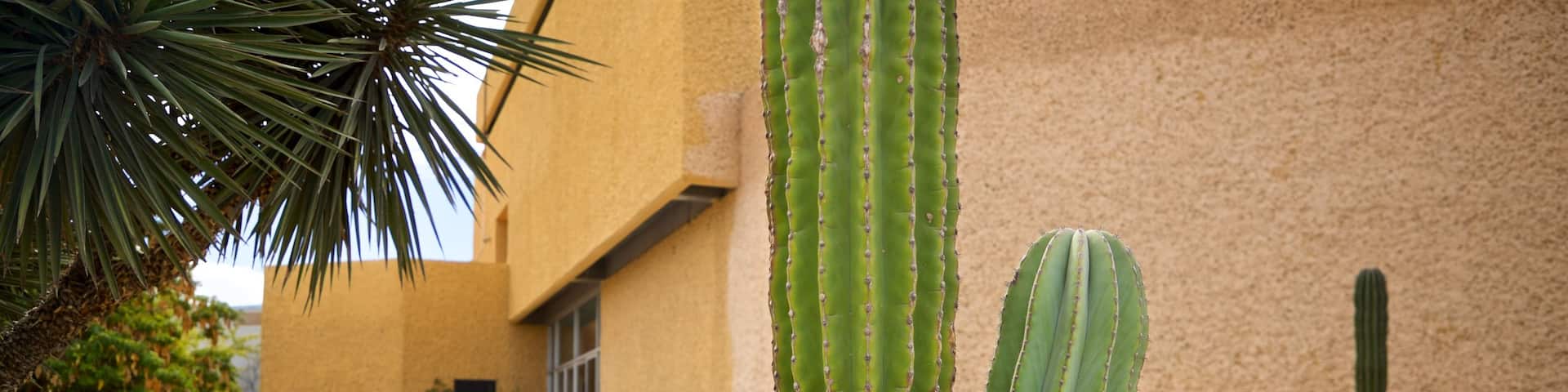 Anthropology and History Museum of Baja California Sur featuring a garden