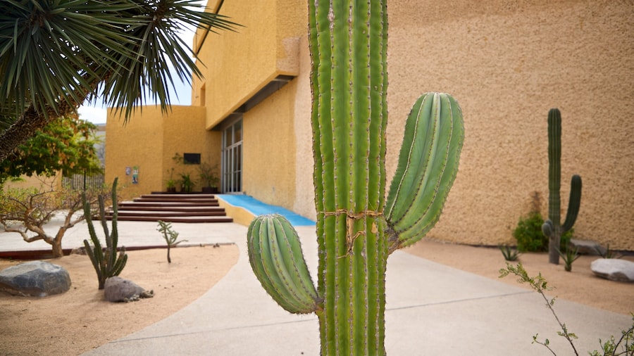 Anthropology and History Museum of Baja California Sur