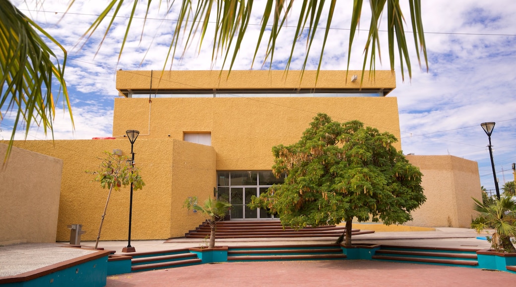 Musée régional d'anthropologie et d'histoire de la Basse-Californie du Sud