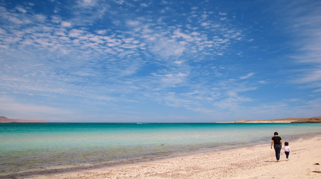 El Tecolote Beach showing tropical scenes and general coastal views as well as a family