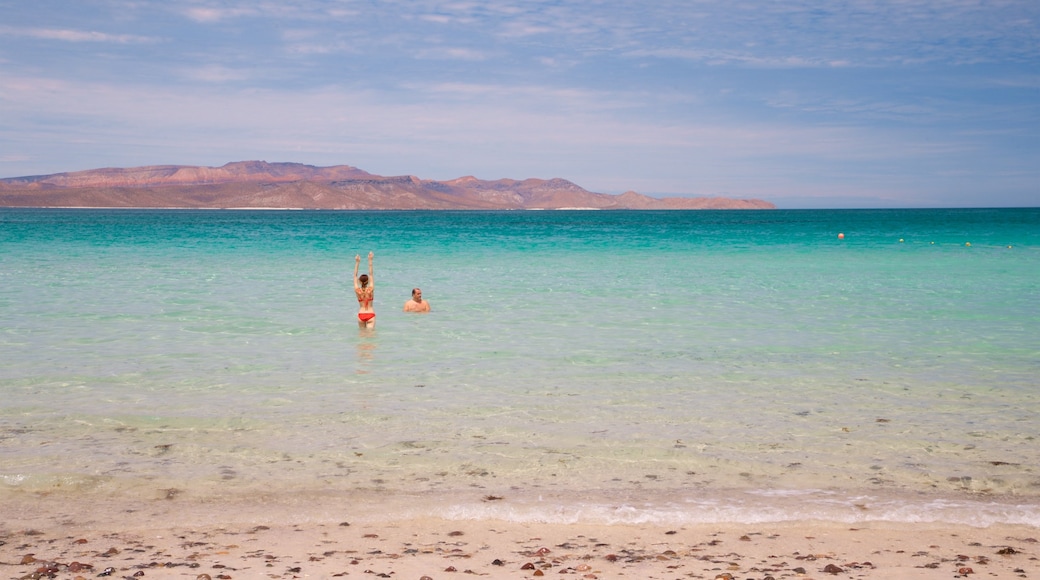 El Tecolote Beach featuring general coastal views, a beach and swimming