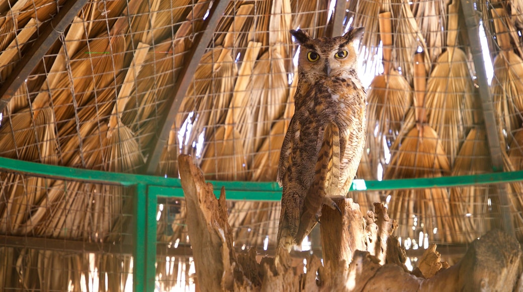 La Paz Serpentarium