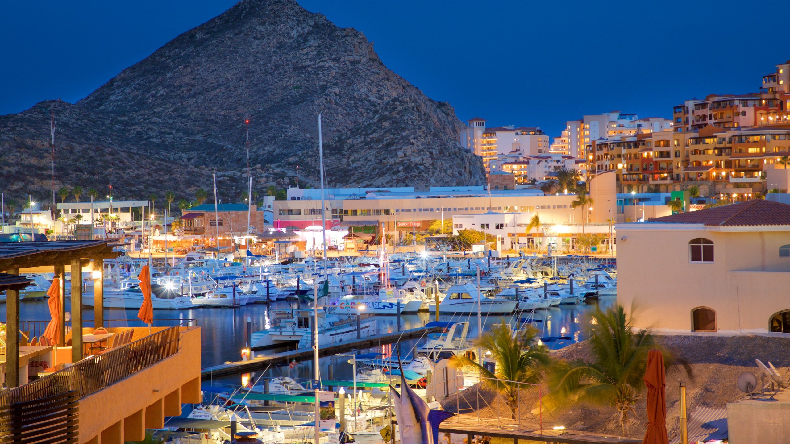 Top Hotels in Cabo San Lucas for 2020 from CA $119 | Expedia.ca