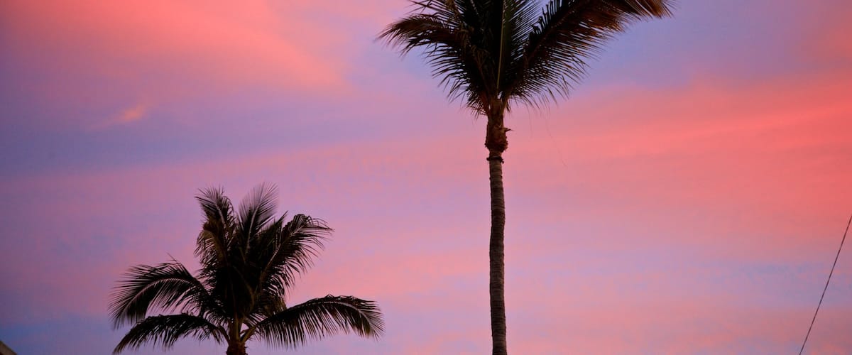 San Jose del Cabo showing tropical scenes and a sunset