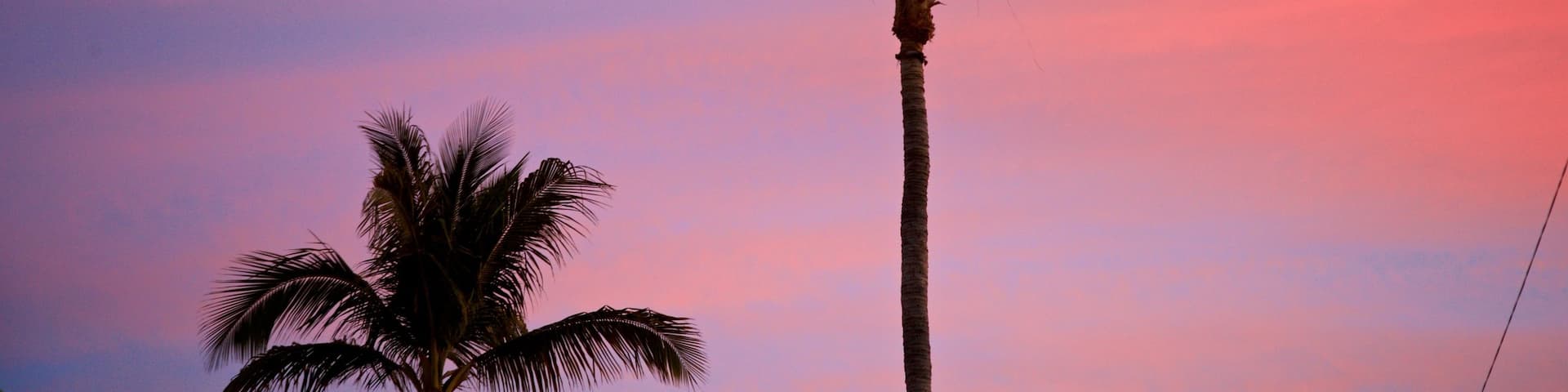 San Jose del Cabo showing tropical scenes and a sunset