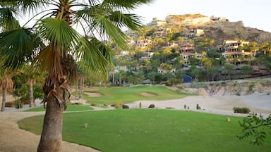 San Jose del Cabo which includes golf