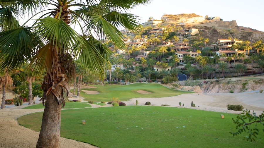 San Jose del Cabo which includes golf