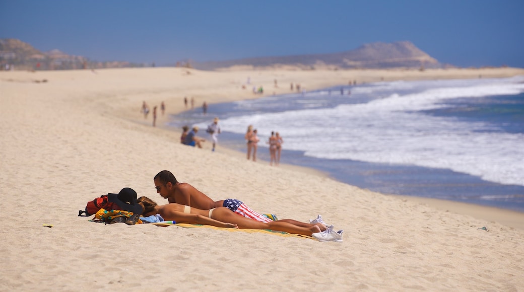 Playa Hotelera showing general coastal views and a sandy beach as well as a couple