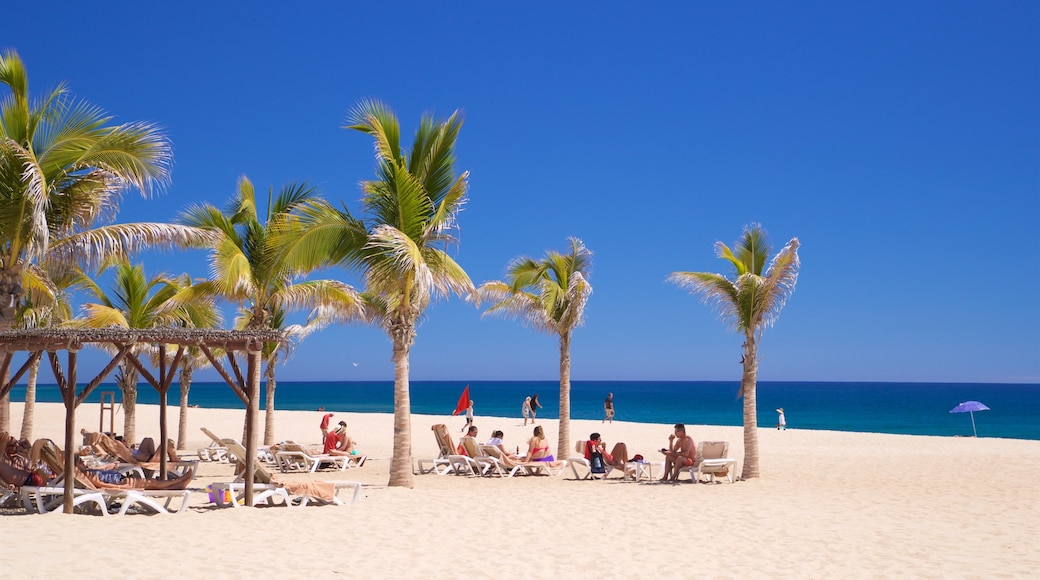 Playa Hotelera