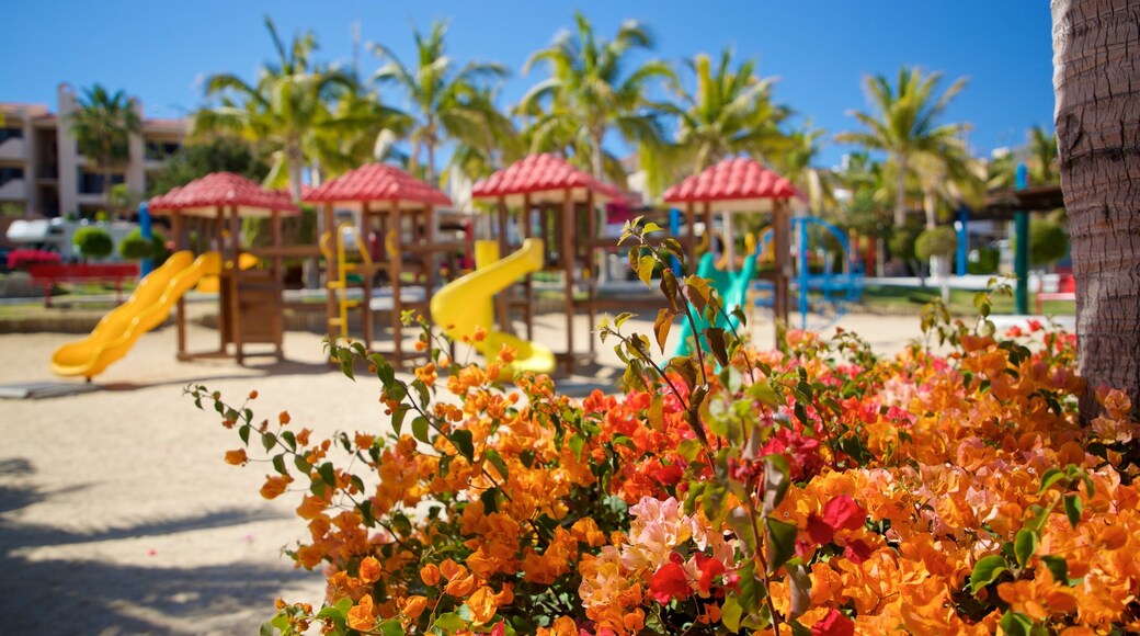 Zona Hotelera showing wildflowers and a playground