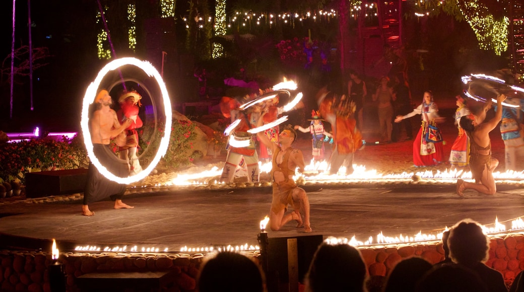 Wirikuta Garden showing night scenes, indigenous culture and performance art