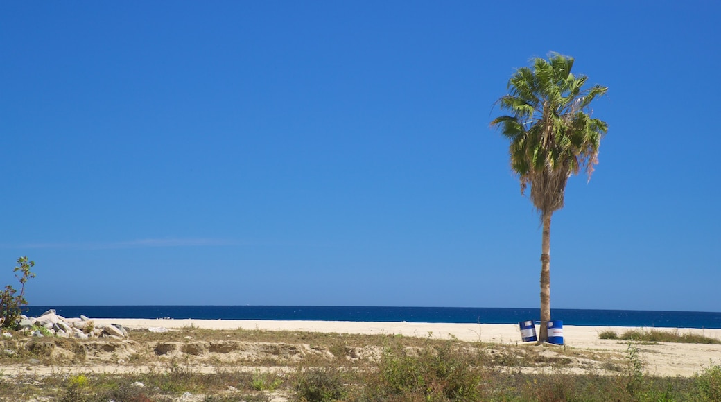 Desert Park Natural Reserve which includes general coastal views, a sandy beach and landscape views