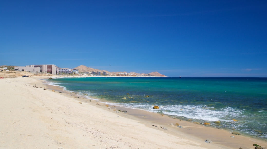 Desert Park Natural Reserve showing a sandy beach, landscape views and general coastal views