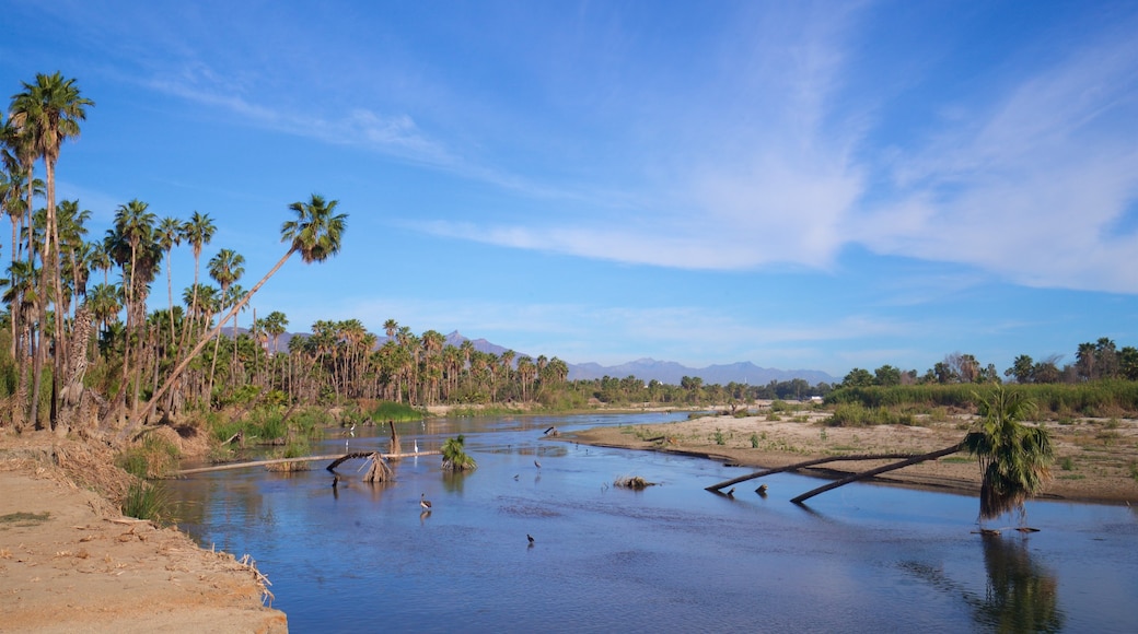 San Jose's Estuary and Bird Sanctuary