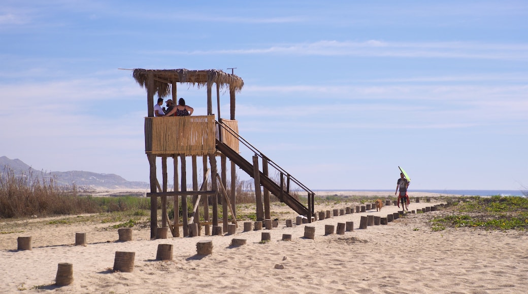 San Jose's Estuary and Bird Sanctuary