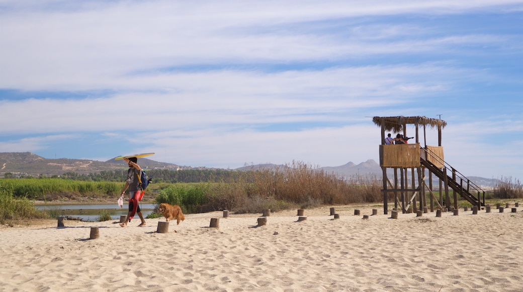 San Jose's Estuary and Bird Sanctuary