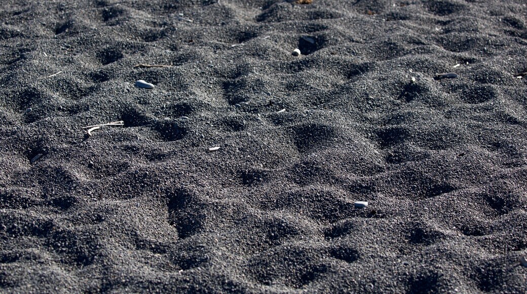 Photo fournie par Brent Manning