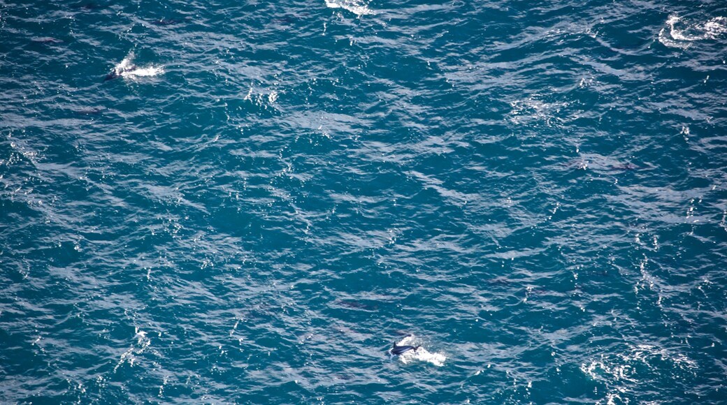 Photo fournie par Brent Manning