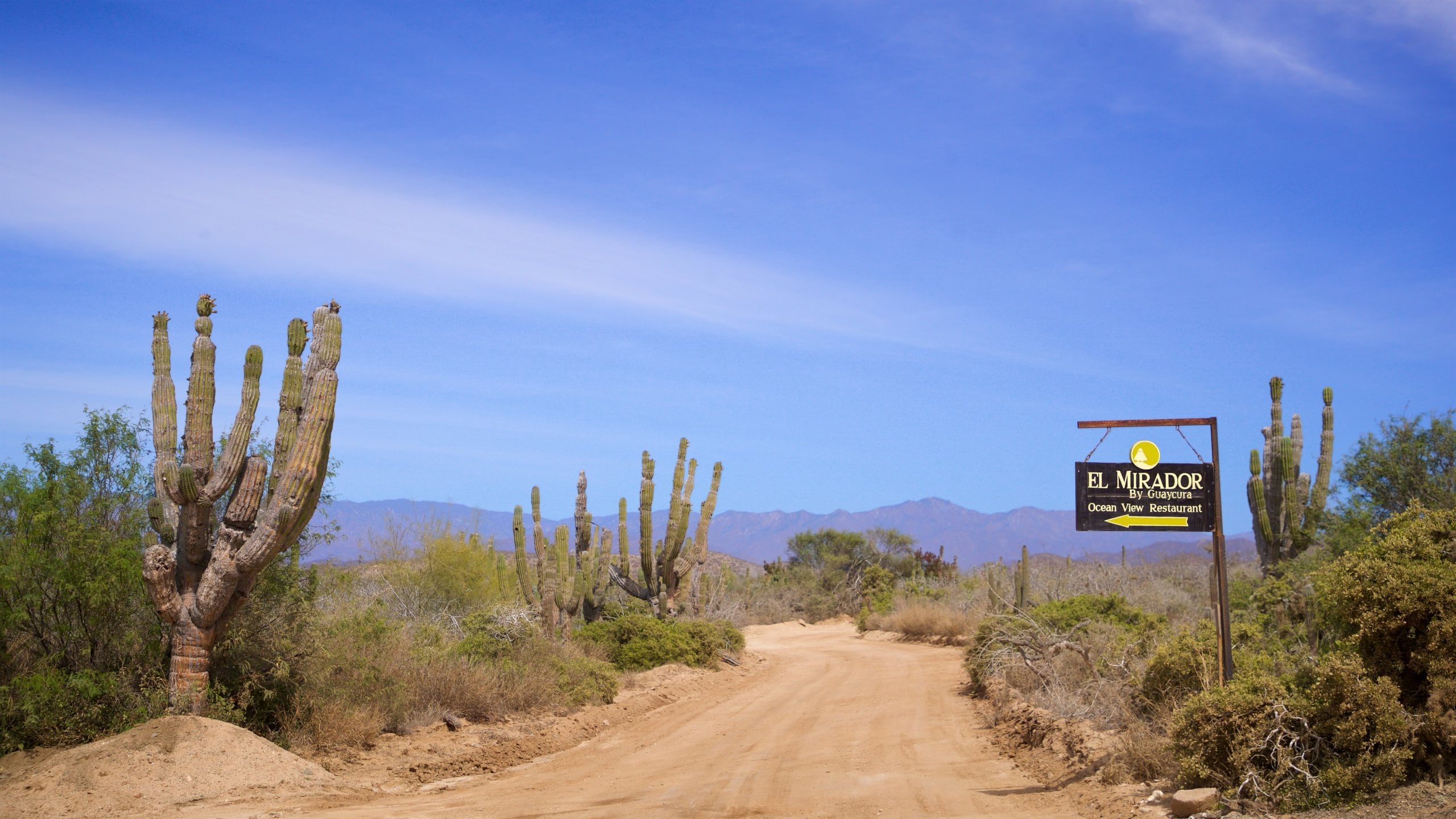 Visitez Todos Santos guide touristique 2024 Expedia.fr
