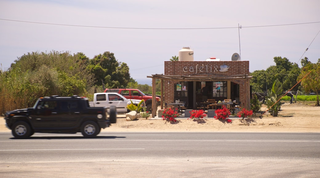 Los Cerritos Beach which includes a small town or village