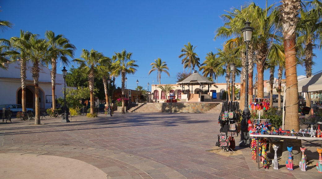 Todos Santos Plaza