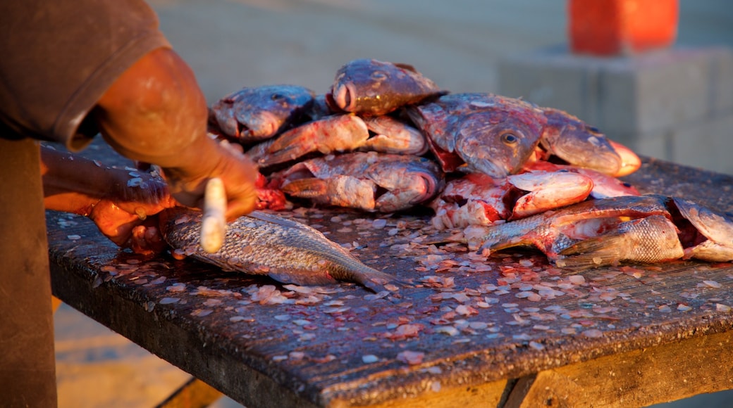 Punta Lobos showing food