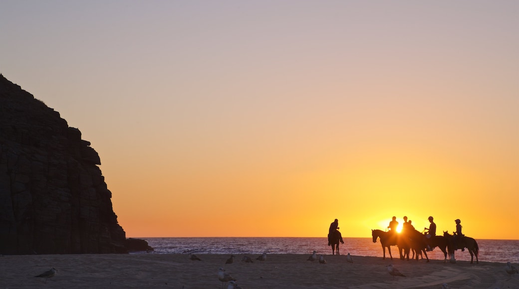 Punta Lobos showing a sunset, horseriding and general coastal views