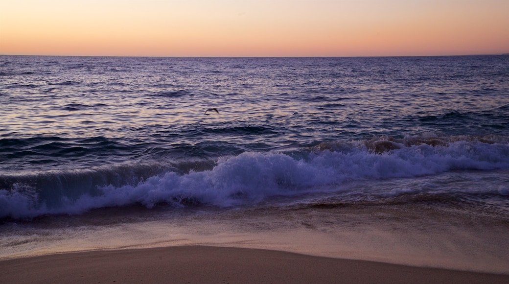 Punta Lobos which includes a sunset, general coastal views and a beach