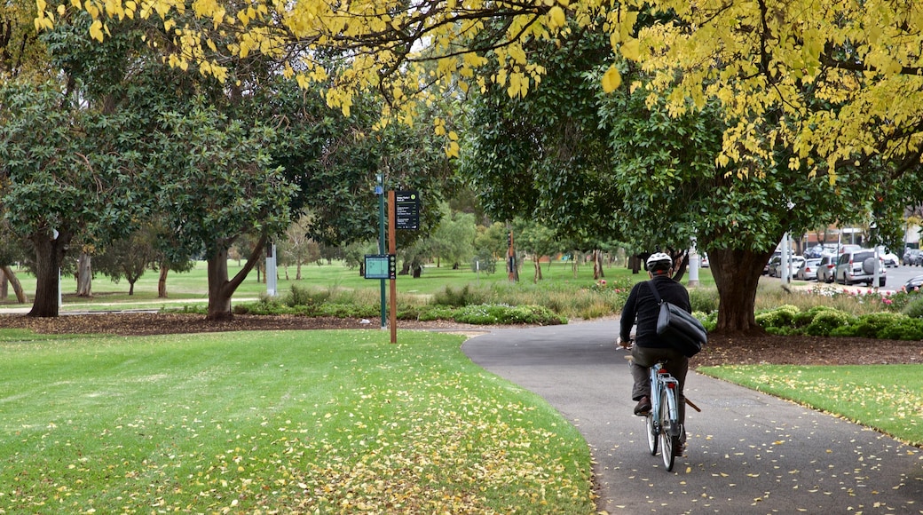 Veale Gardens showing a garden and cycling