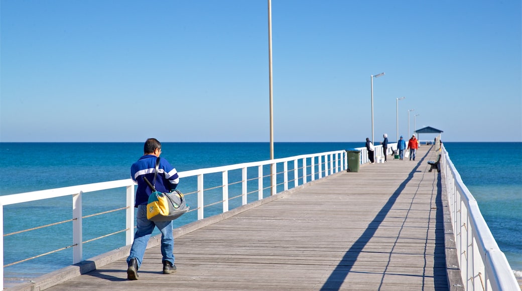 Grange Beach which includes general coastal views as well as an individual male