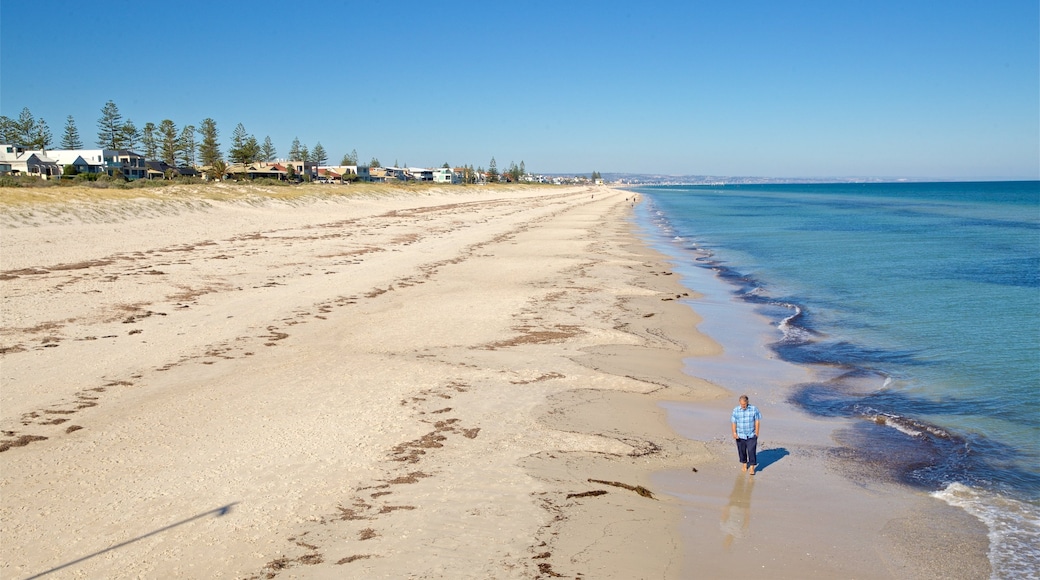 Grange Beach which includes general coastal views and a beach as well as an individual male