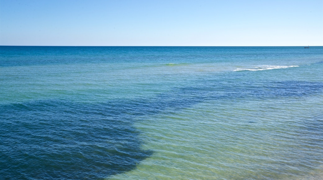 Grange Beach which includes general coastal views