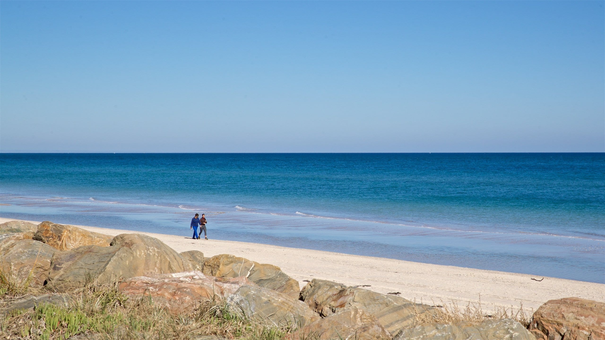 Visit Henley Beach 2024 Henley Beach, Adelaide Travel Guide Expedia