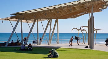 Henley Beach which includes a park and general coastal views as well as a small group of people