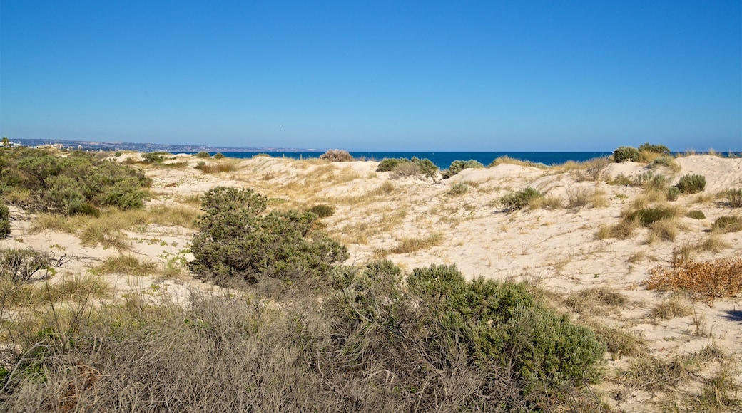 West Beach showing general coastal views and a sandy beach