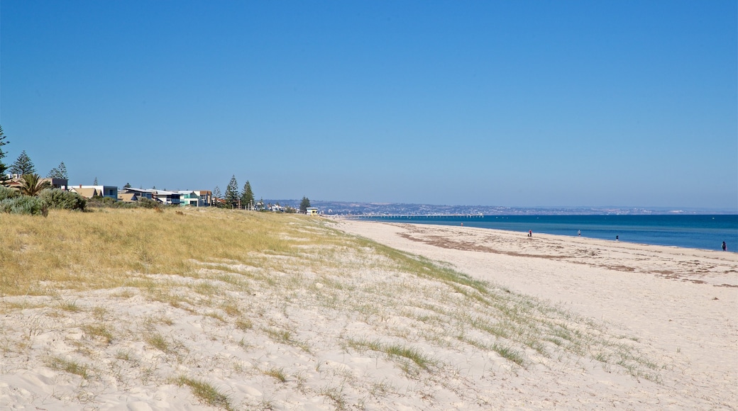 Grange Beach which includes a beach and general coastal views