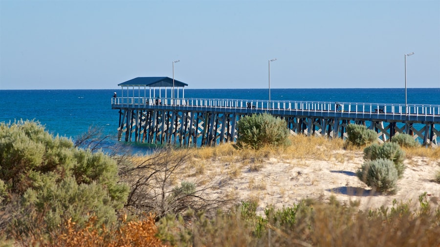 Grange Beach showing general coastal views and a beach