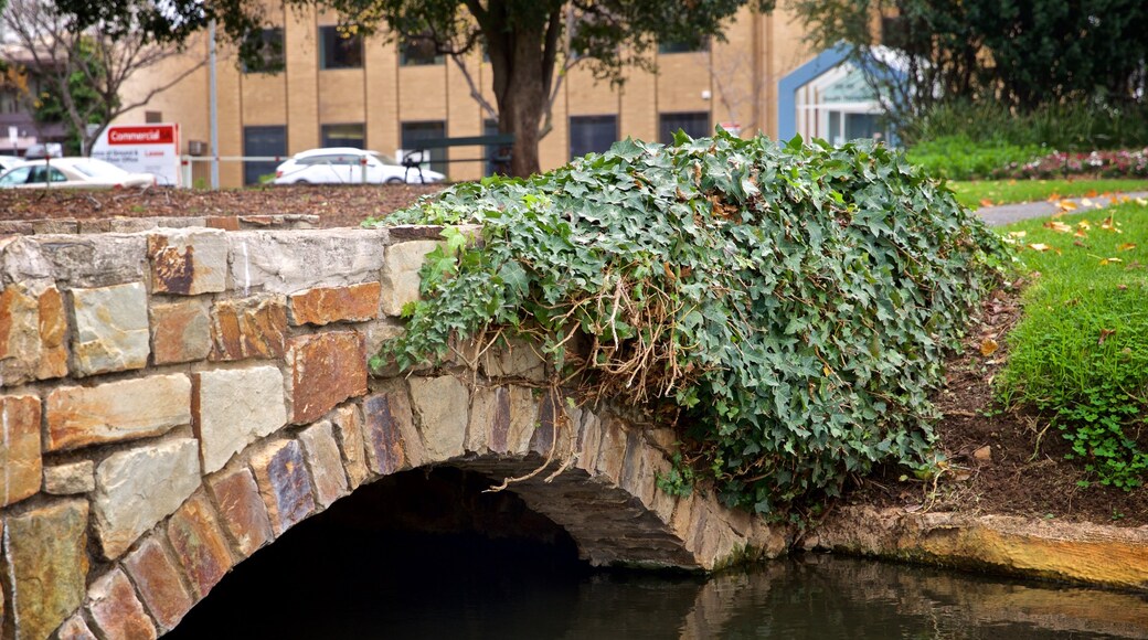 Veale Gardens featuring a bridge and a river or creek